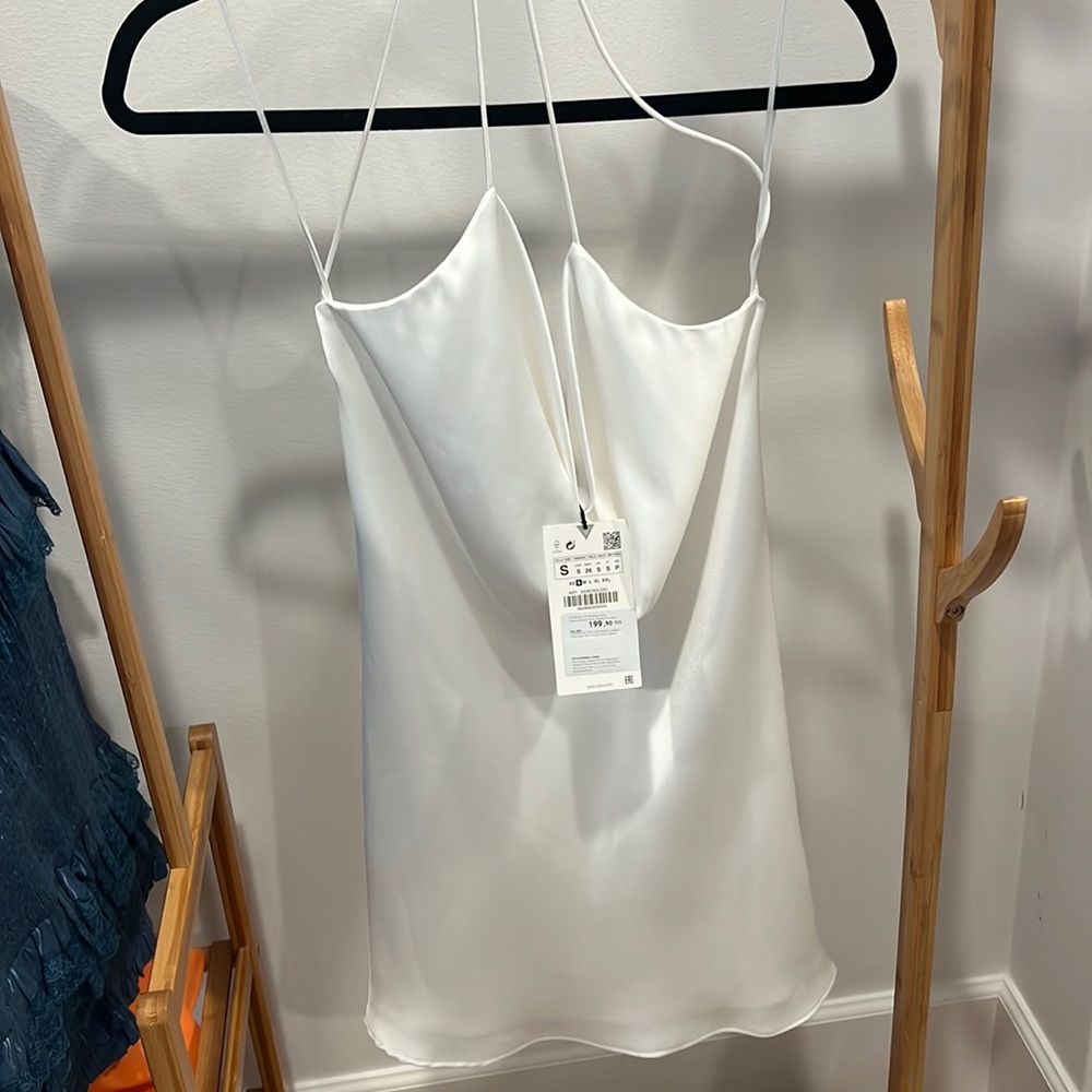 Zara Cowl Neck Mini Dress